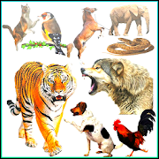 Animal sounds 6.3.1 Icon
