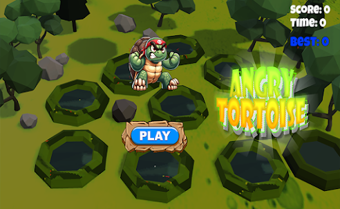 Hit The Angry Tortoise Game