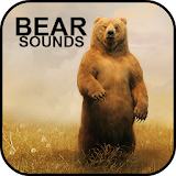 Bear Sounds icon
