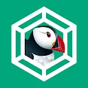 Puffin for Chatbot icono
