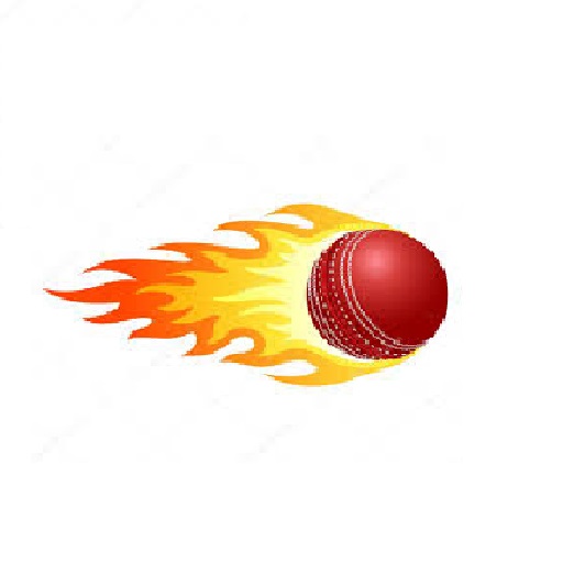 CRICKET ODI BOWLING RECORDS logo