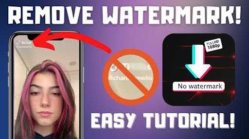 Tik Downloader No Watermark