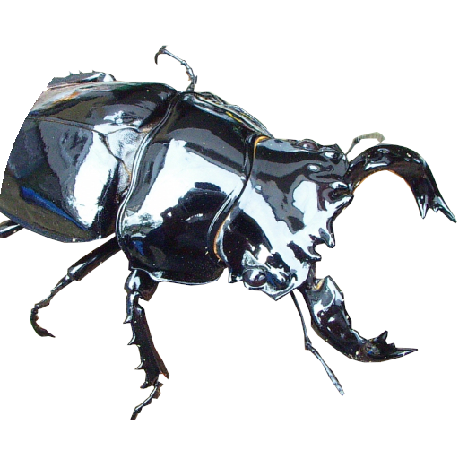 Beetle stag clash 1.8 Icon