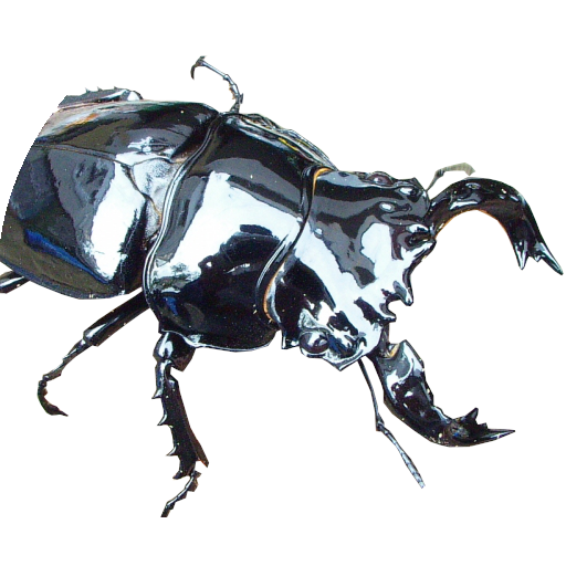 カブトムシ大激突!! - Google Play のアプリ