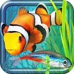 Cover Image of डाउनलोड मछली फार्म 2  APK