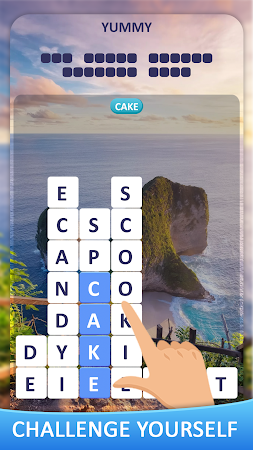 Game screenshot WORDS SPA - find the words mod apk