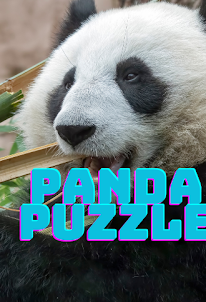 The Panda Picture Puzzle