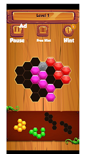 Hexa puzzle game