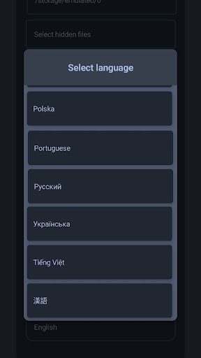 WebDAV FS Server Pro Screen 3