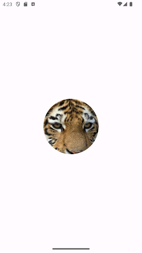 Android application Cute Tiger Puzzle screenshort