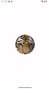 Cute Tiger Puzzle