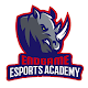 Endgame Esports Academy - Online