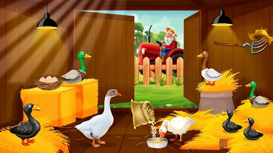 鴨農場養殖：雞蛋和雞家禽養殖
