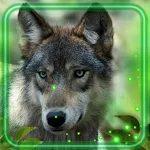 Cover Image of Download Wolves Wallpaper  APK