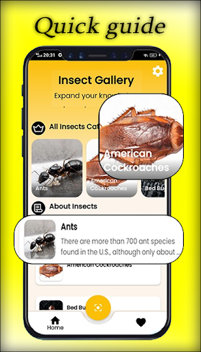 Bug id & Insect Identification Screen 2