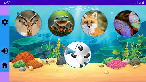 Android application ZOO screenshort