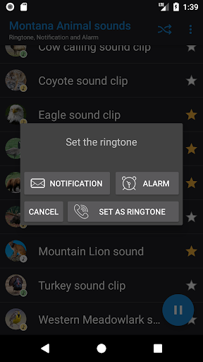 Montana Animal sounds Screen 3