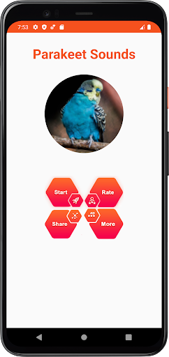 Parakeet Sounds Screen 2