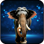 Cover Image of Download Elephants Wallpaper 1.04 APK