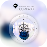 PIP Compass icon