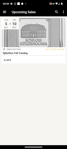 Screenshot of RJB Auctions