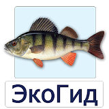 EcoGuide: Russian Fish icon