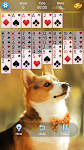 screenshot of Solitaire Collection
