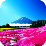 Cover Image of Télécharger Scenery Wallpaper 1.03 APK