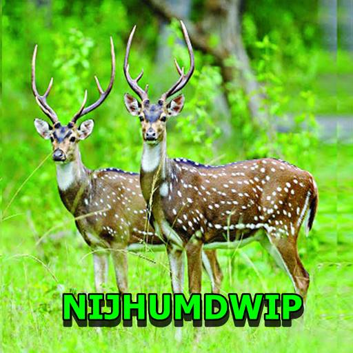 Nijhumdwip Travel Guide logo
