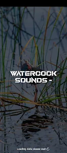 Watercock sounds -