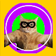 Cat Tom Man Simulator - Kitty Cat Run 😻