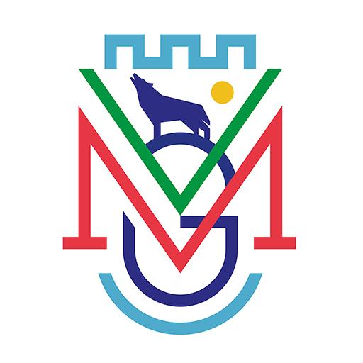 Gedimino miesto mokykla logo