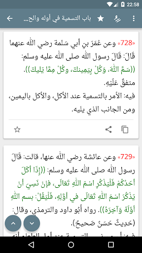 رياض الصالحين مع الشرح المبسط Screen 3