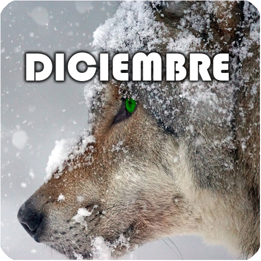 Diciembre citas y refranero logo