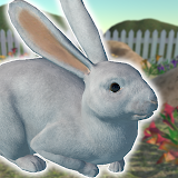 Rabbit Friends - caring games icon