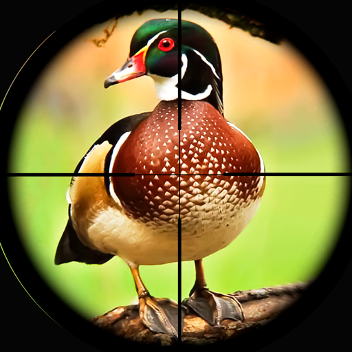 Island Birds Sniper Shooter 1.2 Icon