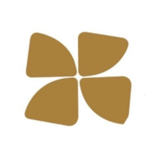 iR2 logo