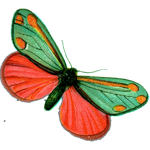 Pharmafly logo