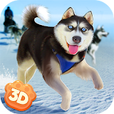 Husky Snow Dog Sledding Sim 3D icon
