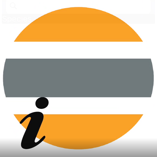 TIMBERplus Stock Info logo