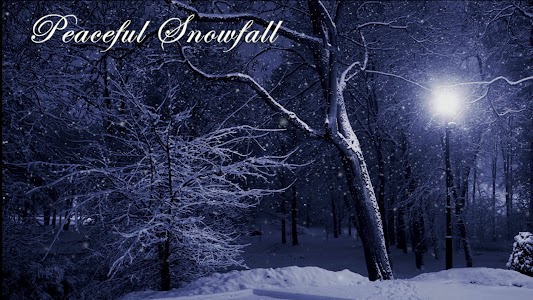 Peaceful Snowfall Unknown
