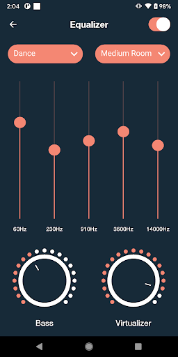 Roar Music Player Screen 2