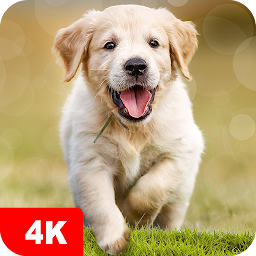 「Dog Wallpapers & Puppy 4K」のアイコン画像