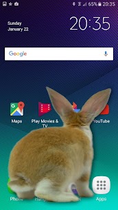 Bunny in Phone Cute joke For PC installation