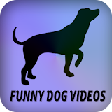 Funny Dog Videos icon