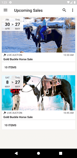 Android application Gold Buckle Horse Sale screenshort