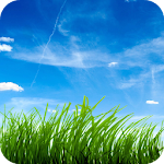 Cover Image of Download Grass Full HD Wallpaper 1.07 APK
