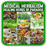 Healing Medical Herbs -Their Uses and Preparation