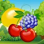 Fruit Land - Match Game