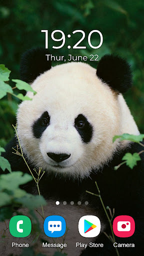 Panda Wallpaper 2024 Screenshot 4 - AppWisp.com